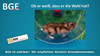 Hamster Wahl - Bild größer - Download oder Link kopieren
