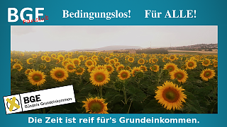 BGE Sonnenblumen. Bedingungslos! - Bild größer - Download oder Link kopieren